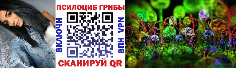 гидра ССЫЛКА Вельск Галлюциногенные грибы GOLDEN TEACHER